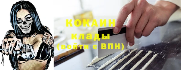 ГАЛЛЮЦИНОГЕННЫЕ ГРИБЫ Арсеньев
