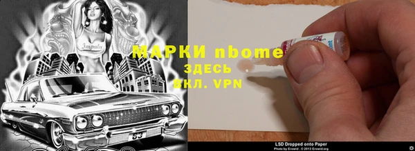 гидра Аркадак