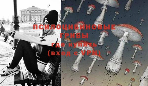 ГАЛЛЮЦИНОГЕННЫЕ ГРИБЫ Арсеньев